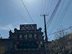 -老张烤羊(王哥庄店)
