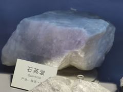 -陕西自然博物馆