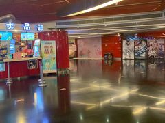 -上海金逸影城(静安大悦城店（原新恒星影城）)