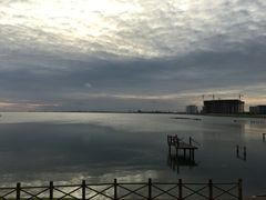 -碧海金沙