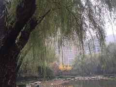 -木塔寺遗址生态公园
