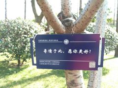-复旦大学光华楼