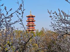 -云龙湖旅游景区