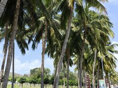 -三亚南山文化旅游区