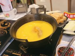 -鲜入围煮花胶鸡海鲜火锅