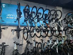 -GIANT捷安特自行车专卖店(金桥台儿庄路店)