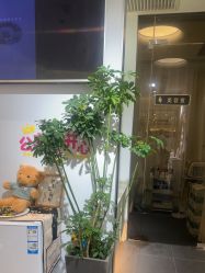 点击看大图 -MB·nail美甲美睫