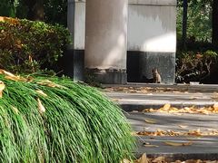 -浙江万里学院(钱湖校区)