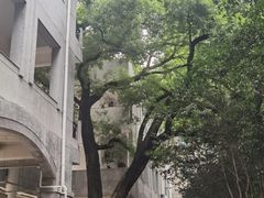 -湖北美术学院(昙华林校区)