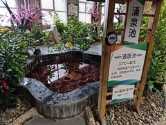 -兴芮温泉度假区