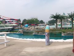 -秦皇岛乐岛海洋王国