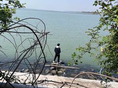 -贡湖湾湿地公园