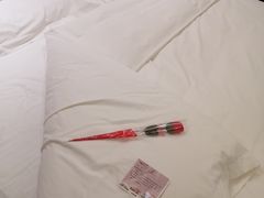 -张掖华辰国际大酒店