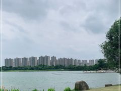 -桐乡凤凰湖