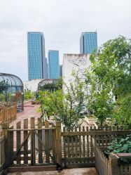 -三分地生态园·儿童乐园