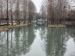 -西溪国家湿地公园