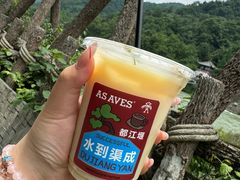 -都江堰景区