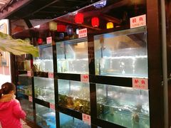 -院8里·少城记忆老川菜(宽窄巷子店)