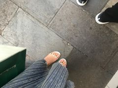 -顺城金记卤鸡·清真
