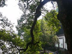 -严子陵钓台(富春江小三峡)