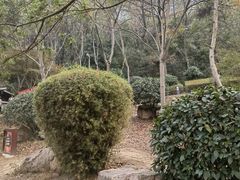 -桃花岭景区