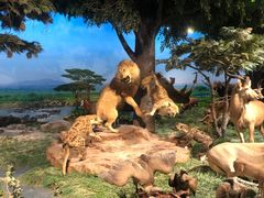 -国家自然博物馆