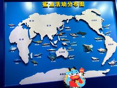 -北海海底世界