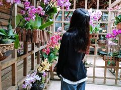 -南山植物园