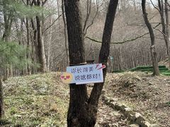 -帽儿山风景区