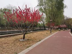 -南长河公园