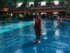 -沈阳龙润夏宫温泉水乐园