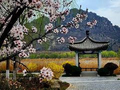 -华山风景区-华阳宫