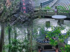 -水濂山森林公园