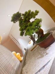 -松和日式美容整骨