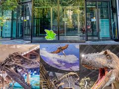 -get pizza意大利餐厅(凯德MALL店)