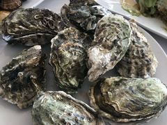 -渔民船说·北塘海鲜·天津菜·海肠捞饭(北塘古镇店)