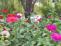 -长春公园(普阳街道)