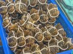 -品鲜村农家菜·阳澄湖大闸蟹(总店)