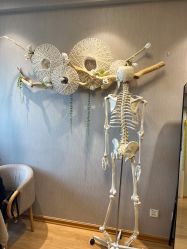 -小林日式·小颜整骨院