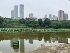 -龙头寺公园