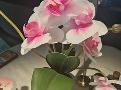 -大鸭梨烤鸭(望京店)