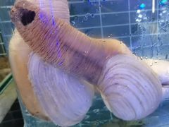 -巧克力渔家.小船海鲜家常菜(三浴场店)