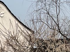 -香雪海