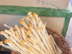 -季季山·云南野生菌火锅(上海首店)