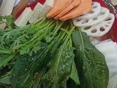 -东镇老火锅(长春路首店)