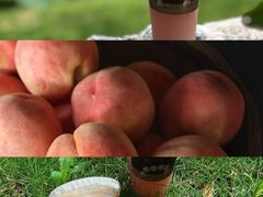 -阿嬷手作(成都万象城店)