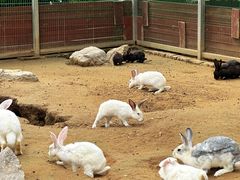 -羊亭河湿地公园