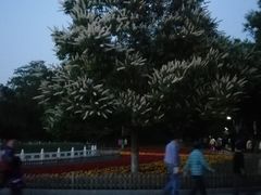 -丰台花园