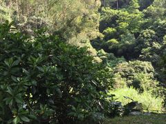 -火炉山森林公园