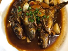 -竹中驿农家餐馆